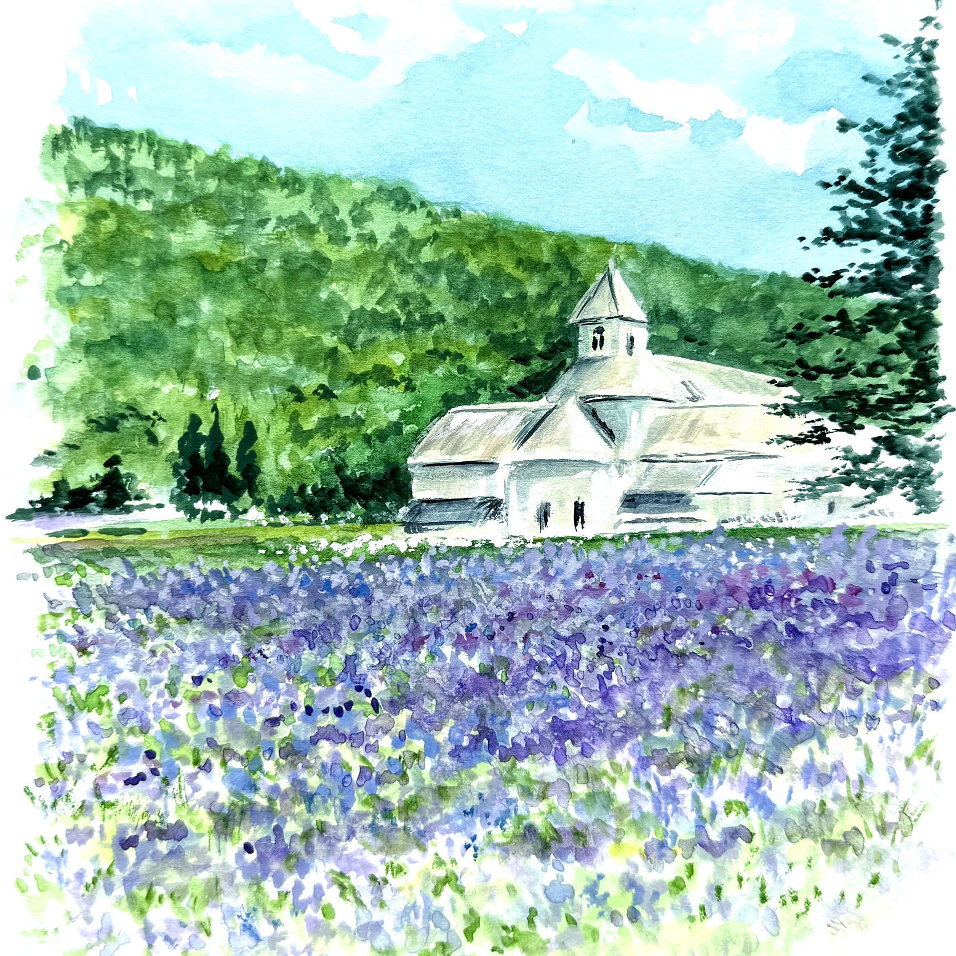 Abbaye de Senanque, Vaucluse, France